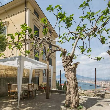 Domus Stabiae Bed & Breakfast Castellammare di Stabia Ngoại thất bức ảnh